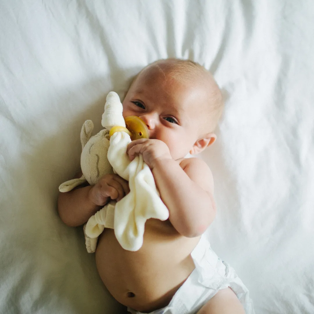 100% Cotten PaciPixy Comforter