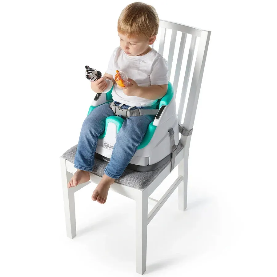 Baby Einstein Dine & Discover Multi-Use Booster Seat