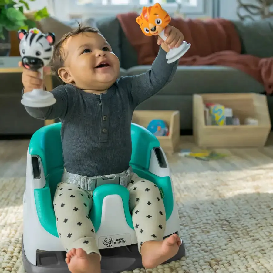 Baby Einstein Dine & Discover Multi-Use Booster Seat
