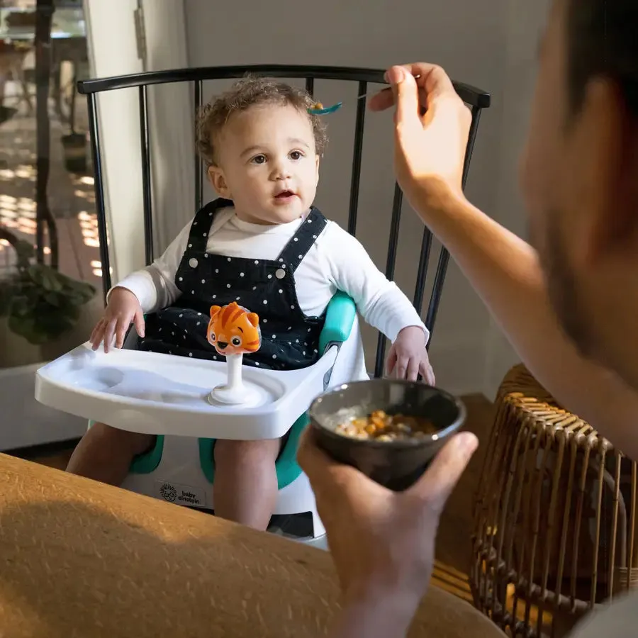 Baby Einstein Dine & Discover Multi-Use Booster Seat