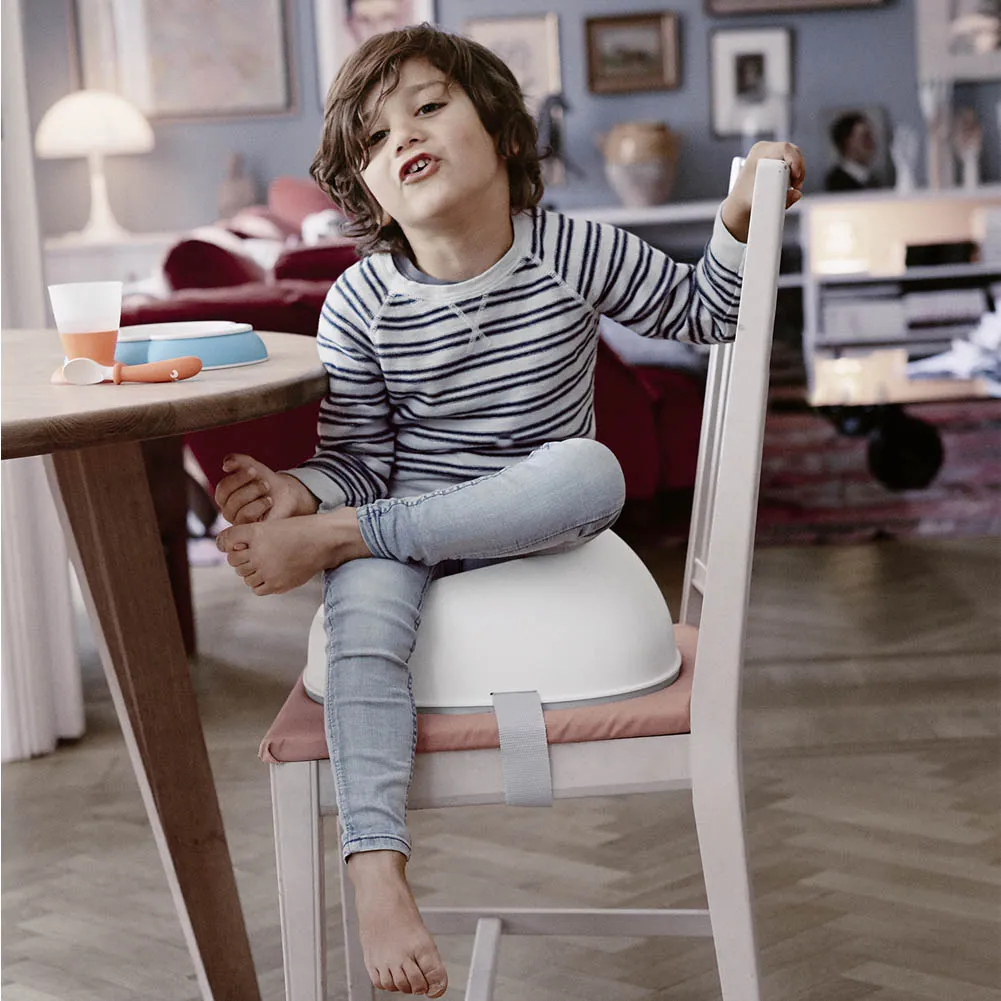 BabyBjorn Booster Seat