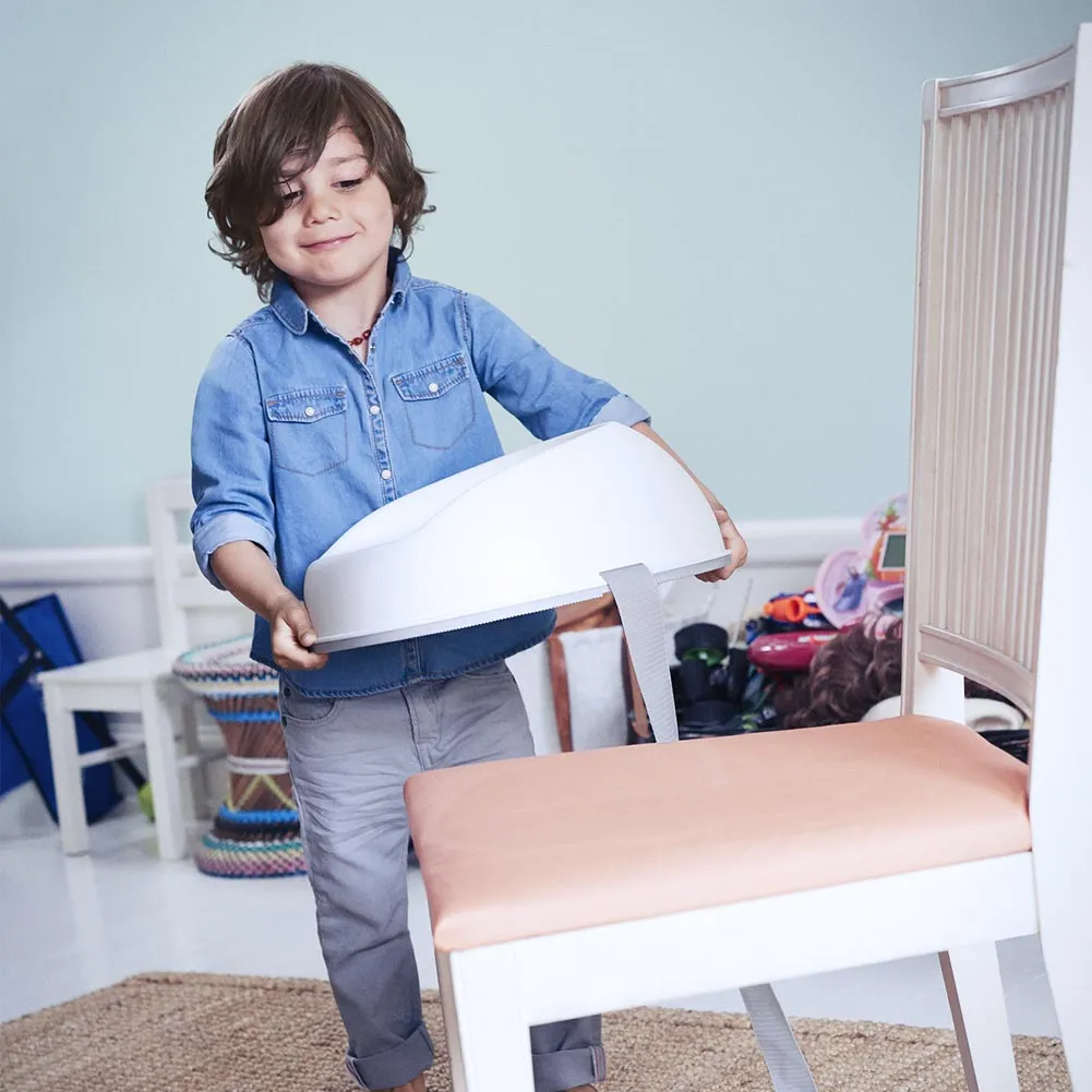 BabyBjorn Booster Seat