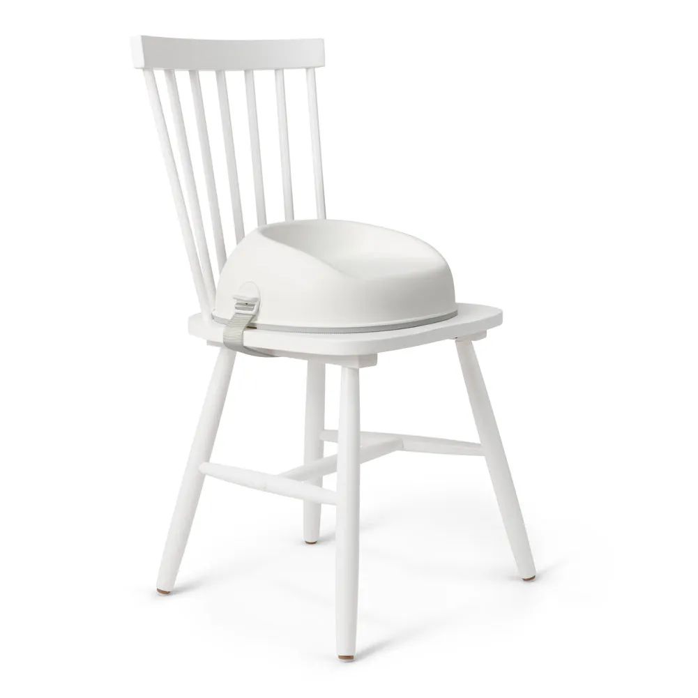 BabyBjorn Booster Seat