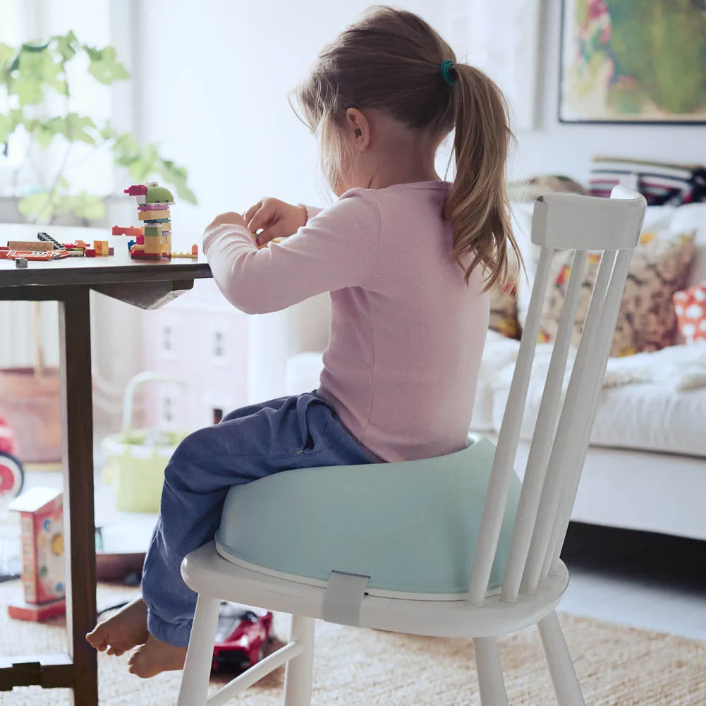 BabyBjorn Booster Seat