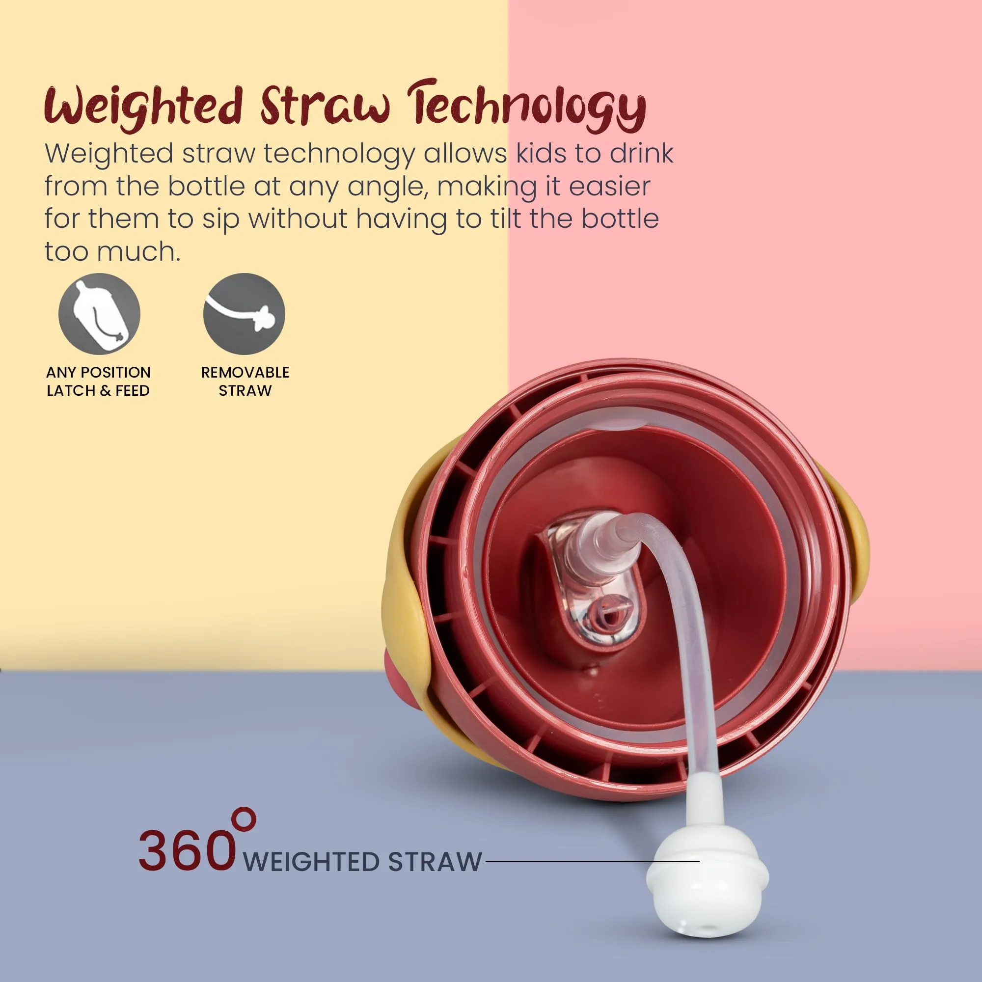Daffodil Baby Sipper Water Bottle for Kids - 330 ml