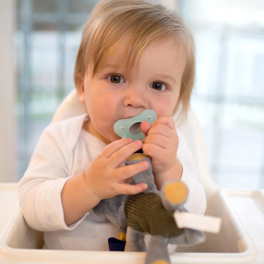 Dr Brown's Triceratops Lovey W/ Aqua 1-Piece Pacifier