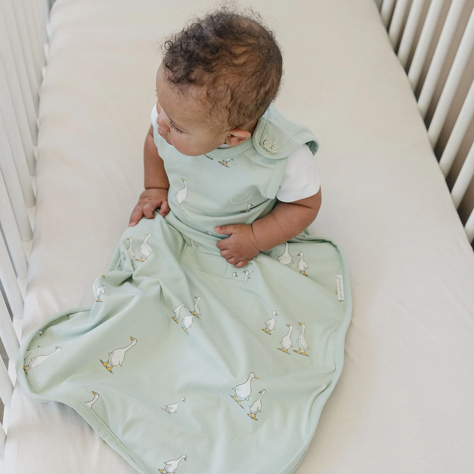 Ecolino® Adjustable Baby Sleep Bag, Organic Cotton, Universal Size: 2 Months - 2 Years, Goose