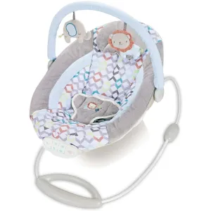 Fitch Baby Baby Bouncer
