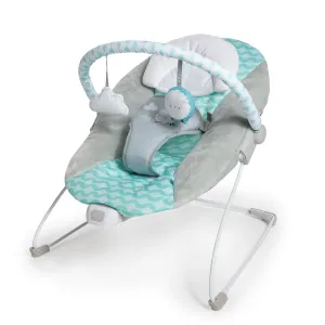 Ity by Ingenuity Bouncity Bounce Vibrating Deluxe Baby Bouncer, Goji