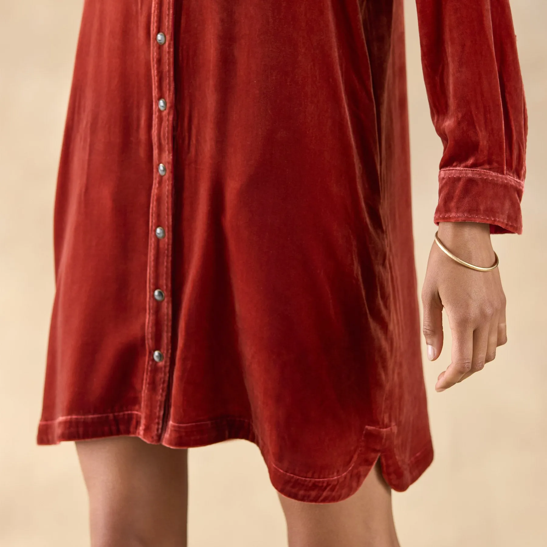 Rocio Velvet Dress