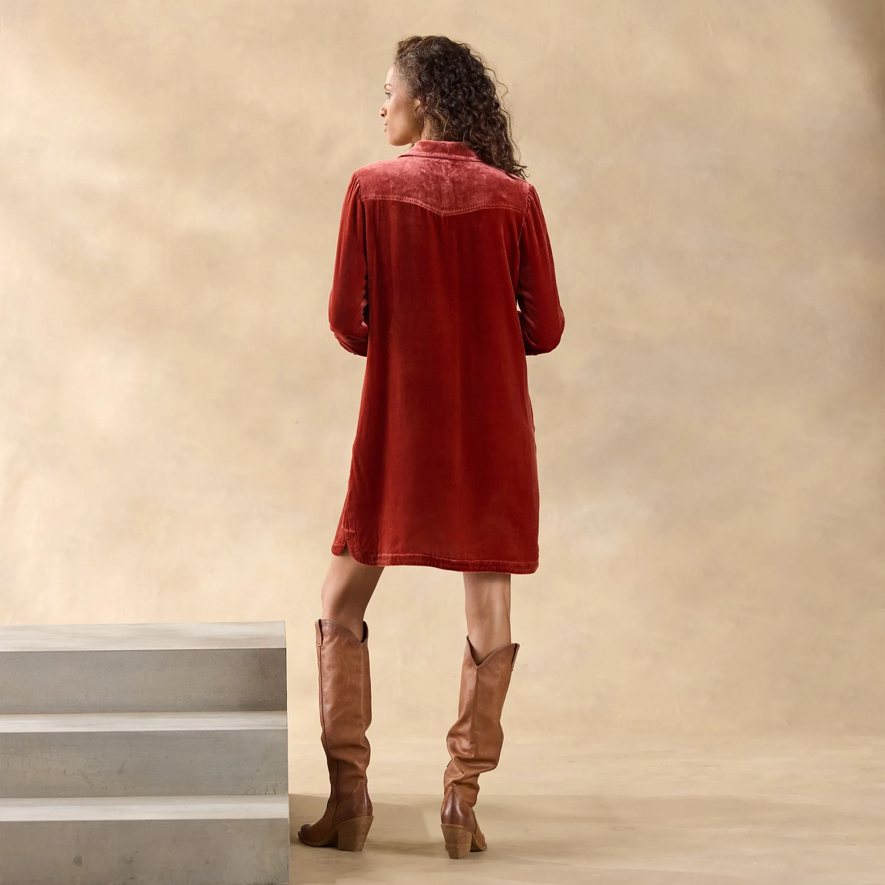 Rocio Velvet Dress