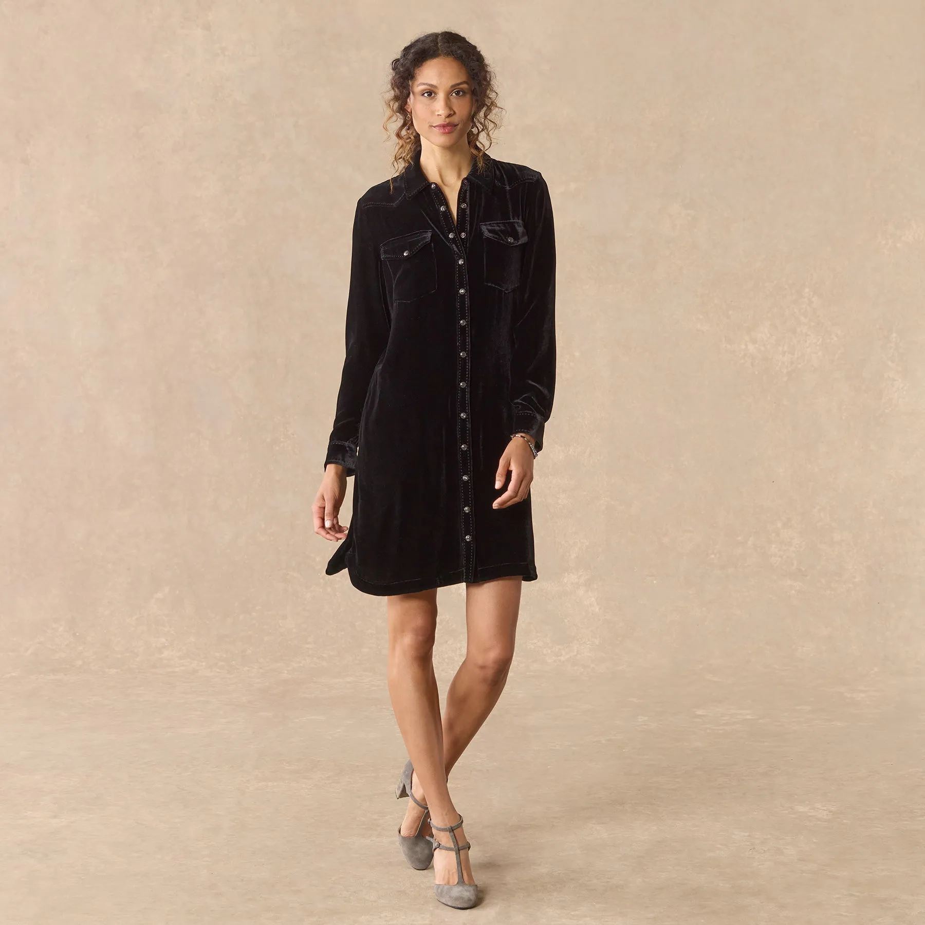 Rocio Velvet Dress